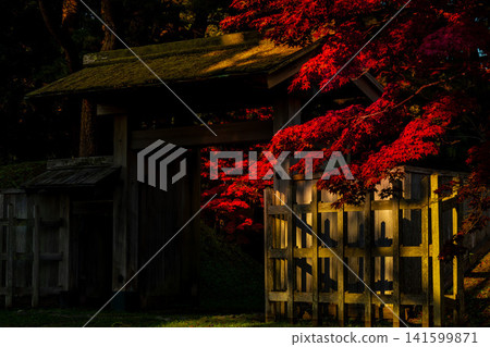 Autumn leaves and an old gate Autumn leaves and an old gate 141599871