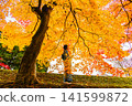 Autumn leaves and a woman in a kimono 141599872