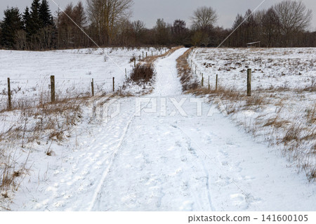 Winter countryside path with human footprints and sunlight. 141600105