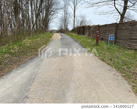 Worn asphalt bicycle path with multiple repairs in natural park. Worn asphalt bicycle path with multiple repairs in natural park. 141600127