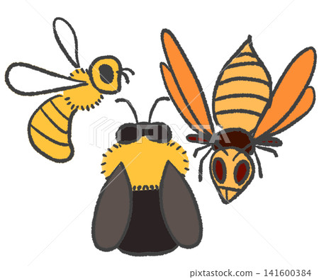 Simple illustrations of honeybees, bumblebees, and hornets. Simple illustrations of honeybees, bumblebees, and hornets. 141600384
