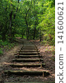 Wooden stairs and walking paths leading through a tranquil forest 141600621