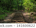 Wooden stairs and walking paths leading through a tranquil forest 141600622