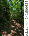 A mountain path overgrown with trees and greenery 141600625