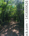 A mountain path overgrown with trees and greenery 141600626