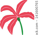 Red pink lily flower with green stem, delicate bloom beauty floral for spring theme element decoration 141600765