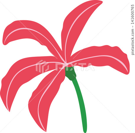 Red pink lily flower with green stem, delicate bloom beauty floral for spring theme element decoration Red pink lily flower with green stem, delicate bloom beauty floral for spring theme element decoration 141600765