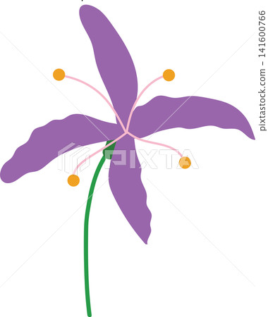 Purple lily flower with green stem, delicate bloom beauty floral for spring theme element decoration Purple lily flower with green stem, delicate bloom beauty floral for spring theme element decoration 141600766