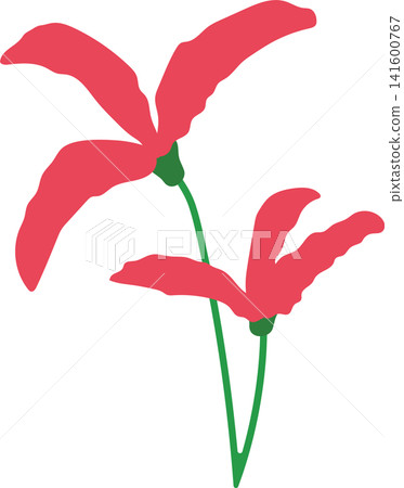 Red pink lily flower with green stem, delicate bloom beauty floral for spring theme element decoration Red pink lily flower with green stem, delicate bloom beauty floral for spring theme element decoration 141600767