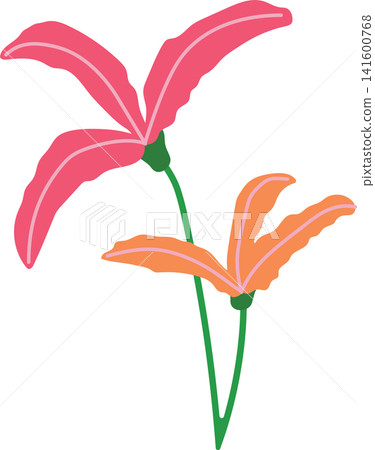 Red pink lily flower and yellow with green stem, delicate bloom beauty floral for spring theme element decoration Red pink lily flower and yellow with green stem, delicate bloom beauty floral for spring theme element decoration 141600768