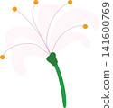 Pink lily flower with green stem, delicate bloom beauty floral for spring theme element decoration 141600769
