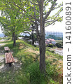 Lush park bench 141600891