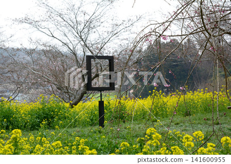 Oyake Tumulus Cluster "Rape Blossom and Cherry Blossom Festival" #69 Oyake Tumulus Cluster "Rape Blossom and Cherry Blossom Festival" #69 141600955