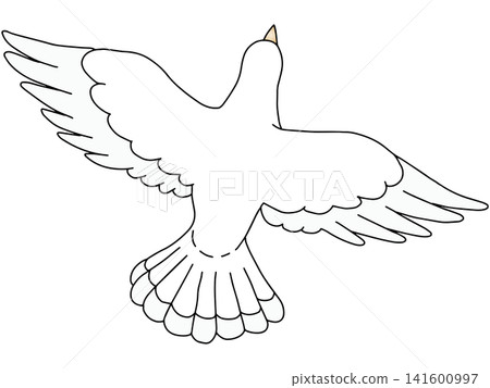 Hand-drawn animal illustration ☆ White dove Hand-drawn animal illustration ☆ White dove 141600997