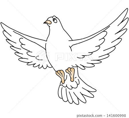 Hand-drawn animal illustration ☆ White dove Hand-drawn animal illustration ☆ White dove 141600998