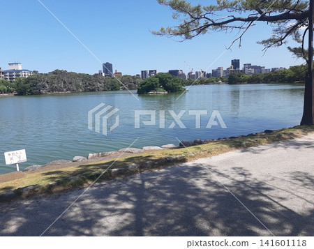 公園內的池塘和湖泊 公園內的池塘和湖泊 141601118