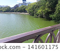 Bridge over the pond in the park 141601175