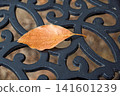 Fallen leaves on the casting table 141601239
