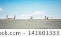 A giant piece of driftwood standing on the Shonan coast 141601333