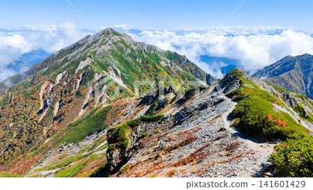 秋季攀登哈里諾基山和蓮華山(哈里諾基山至蓮華山) 秋季攀登哈里諾基山和蓮華山(哈里諾基山至蓮華山) 141601429