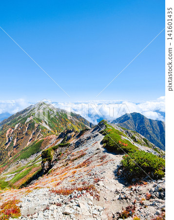秋季攀登哈里諾基山和蓮華山(哈里諾基山至蓮華山) 秋季攀登哈里諾基山和蓮華山(哈里諾基山至蓮華山) 141601435