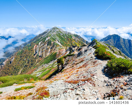 秋季攀登哈里諾基山和蓮華山（哈里諾基山至蓮華山） 141601436