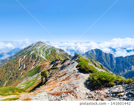 秋季攀登哈里諾基山和蓮華山(哈里諾基山至蓮華山) 秋季攀登哈里諾基山和蓮華山(哈里諾基山至蓮華山) 141601442
