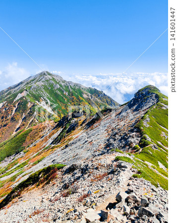 Autumn climb of Mt. Harinoki and Mt. Renge (Mt. Harinoki to Mt. Renge) Autumn climb of Mt. Harinoki and Mt. Renge (Mt. Harinoki to Mt. Renge) 141601447