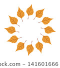 Yellow birch leaves circular frame isolated on white background 141601666