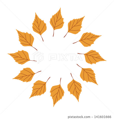 Yellow birch leaves circular frame isolated on white background Yellow birch leaves circular frame isolated on white background 141601666