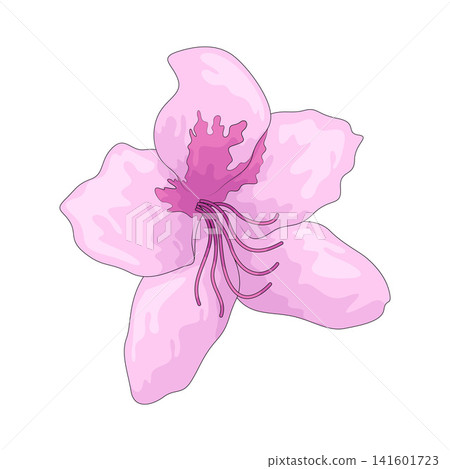 Illustration of Azalea Illustration of Azalea 141601723