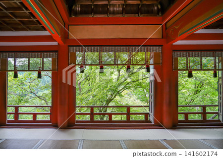 View of hanging lanterns from inside the main hall of Tanzan Shrine in Sakurai City, Nara Prefecture, amidst the fresh greenery. View of hanging lanterns from inside the main hall of Tanzan Shrine in Sakurai City, Nara Prefecture, amidst the fresh greenery. 141602174