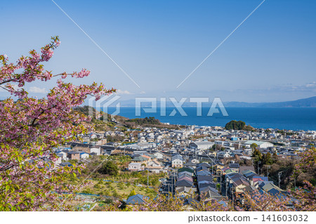 Yui Yachiyozakura and the streets of Yui in Shizuoka City (Shizuoka Prefecture) Yui Yachiyozakura and the streets of Yui in Shizuoka City (Shizuoka Prefecture) 141603032