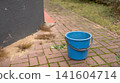 Blue plastic bucket on brick pathway near gray wall and grass 141604714