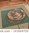 Camo hat on green door mat at wooden door entrance 141604720