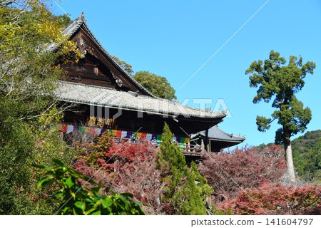 秋葉環繞的長谷寺景色 秋葉環繞的長谷寺景色 141604797