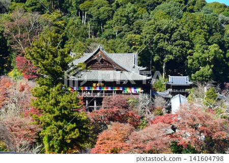 秋葉環繞的長谷寺景色 秋葉環繞的長谷寺景色 141604798