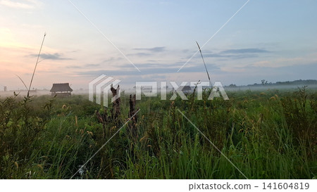 Misty Meadow Landscape with Wooden Huts at Sunrise Misty Meadow Landscape with Wooden Huts at Sunrise 141604819