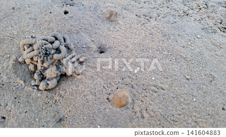 Lugworm Sand Castings and Burrow Holes on Beach Sand Lugworm Sand Castings and Burrow Holes on Beach Sand 141604883