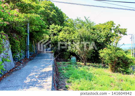 【香川】豐島夏季:唐戶清水泉和光神社附近的景色 【香川】豐島夏季:唐戶清水泉和光神社附近的景色 141604942