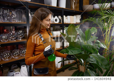 Caucasian woman in apron tending to indoor potted plants with nurturing touch in warm shop setting Caucasian woman in apron tending to indoor potted plants with nurturing touch in warm shop setting 141604948