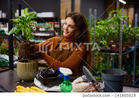 Focused woman expertly placing new plant into patterned ceramic container with tools nearby Focused woman expertly placing new plant into patterned ceramic container with tools nearby 141605029