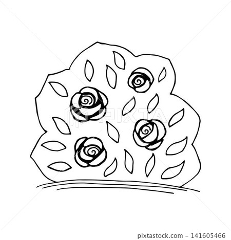 Hand-drawn simple vector illustration in black outline. A bush of rose flowers with leaves. Garden plant, landscaping, nature. Hand-drawn simple vector illustration in black outline. A bush of rose flowers with leaves. Garden plant, landscaping, nature. 141605466