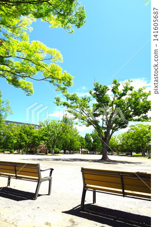 A deserted park scene in a residential area on a scorching hot morning. 141605687