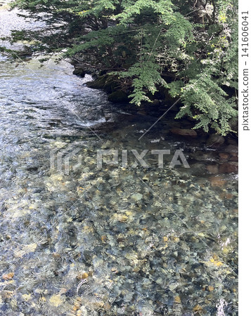 The surface of the water along the Azusa River The surface of the water along the Azusa River 141606041