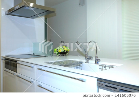 System kitchen (newly built house) System kitchen (newly built house) 141606076