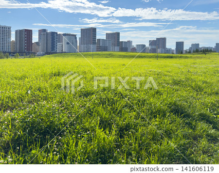 Urban skyline featuring tall buildings in the background with a lush green grass field in the foreground, illuminated by bright sunlight and set against a clear blue sky Urban skyline featuring tall buildings in the background with a lush green grass field in the foreground, illuminated by bright sunlight and set against a clear blue sky 141606119