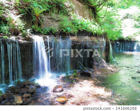 長野縣:初夏時節的白絲瀑佈景色,五月 長野縣:初夏時節的白絲瀑佈景色,五月 141606208