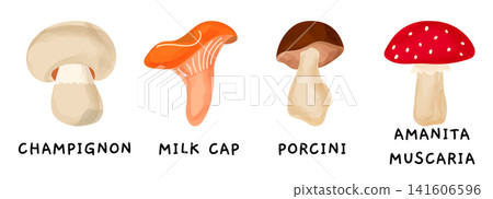 Flat fall vector illustration of children with book. Education and eat typography mushroom forest scene with isolated bolete. Abstract outline toadstool on ground drawing. Flat fall vector illustration of children with book. Education and eat typography mushroom forest scene with isolated bolete. Abstract outline toadstool on ground drawing. 141606596