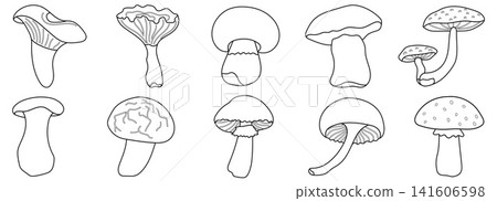 Fall autumn drawing kawaii vector mushroom book outline coloring flat. Illustration for whimsical and organic design cute toadstool. Set with simple porcini and poisonous fungi in forest. Fall autumn drawing kawaii vector mushroom book outline coloring flat. Illustration for whimsical and organic design cute toadstool. Set with simple porcini and poisonous fungi in forest. 141606598